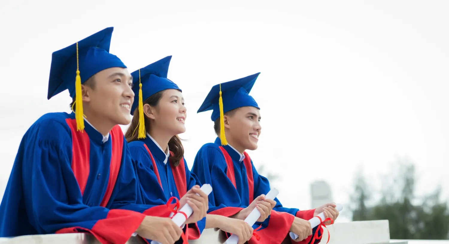 Career Counselling